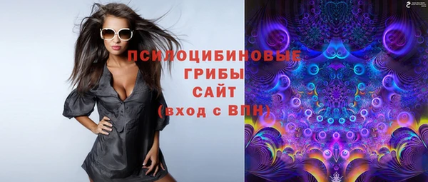 гидра Россошь