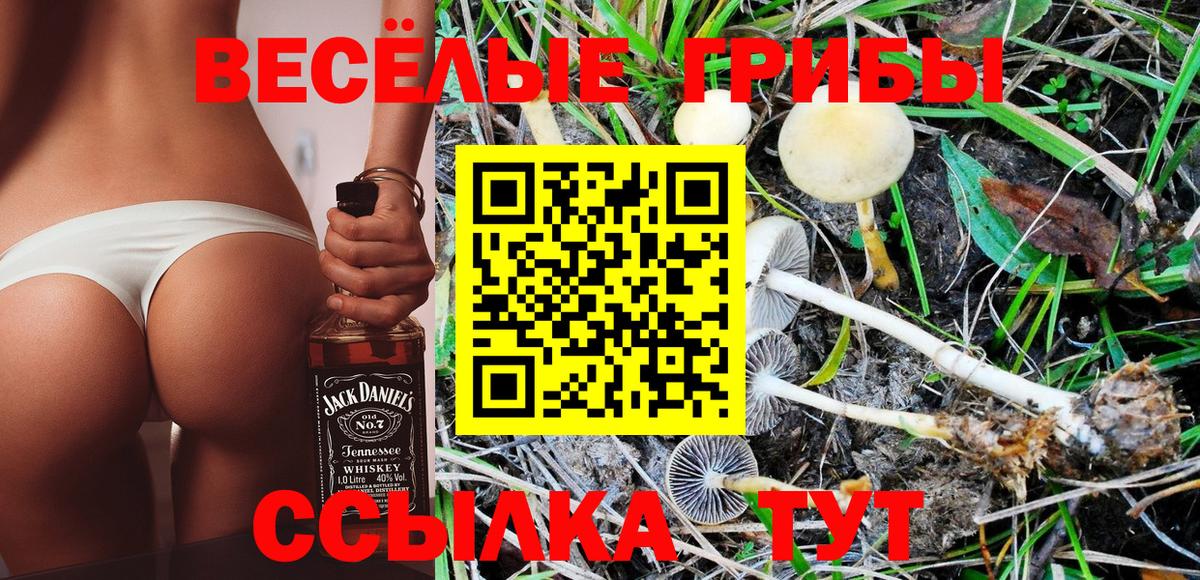 Псилоцибиновые грибы MAGIC MUSHROOMS Красноуфимск