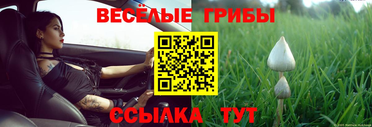 Красноуфимск  Галлюциногенные грибы прущие грибы  Вход с VPN 